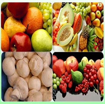 Trung Quốc - thị trường cung cấp rau quả chủ yếu cho Việt Nam 4 tháng đầu năm 2010